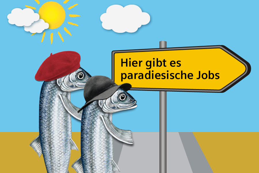 Jobs bei Paradies Rügen