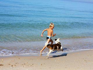 Rügen Ferienwohnungen mit Hund - Spaß am Strand